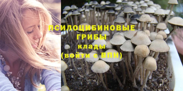 МДПВ Алзамай