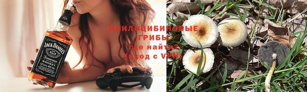 прущие грибы Алексеевка